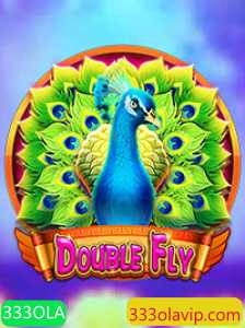 Explorando o Universo de DoubleFly: Um Mergulho nas Regras e Dinâmicas